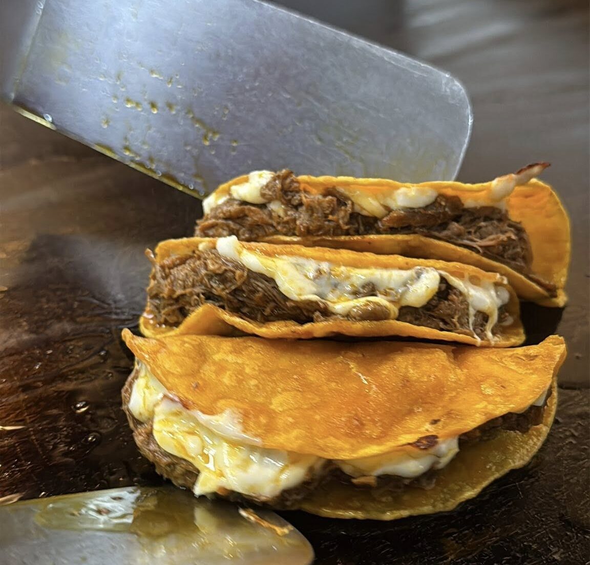 fresh tacos -houston texas