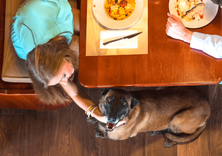 ihop-restaurant-dog-friendly