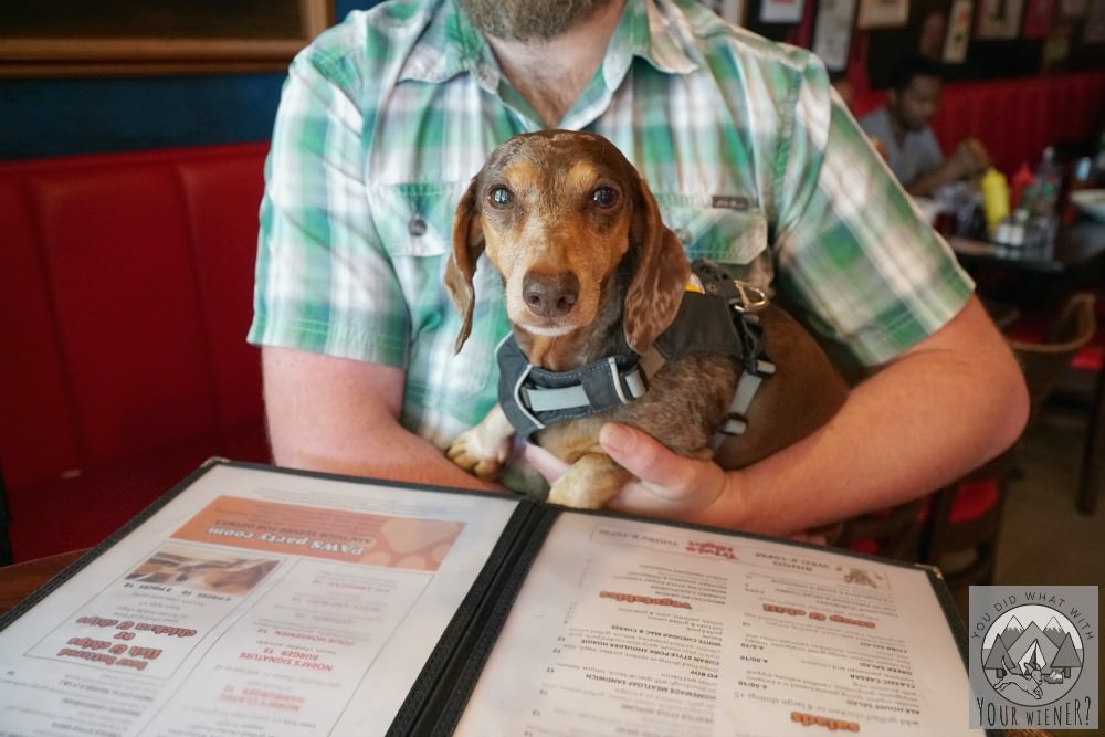 petting-dog-in-ihop